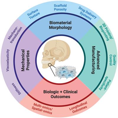 The future of cell-instructive biomaterials for tissue regeneration–a perspective from early career clinician-scientists